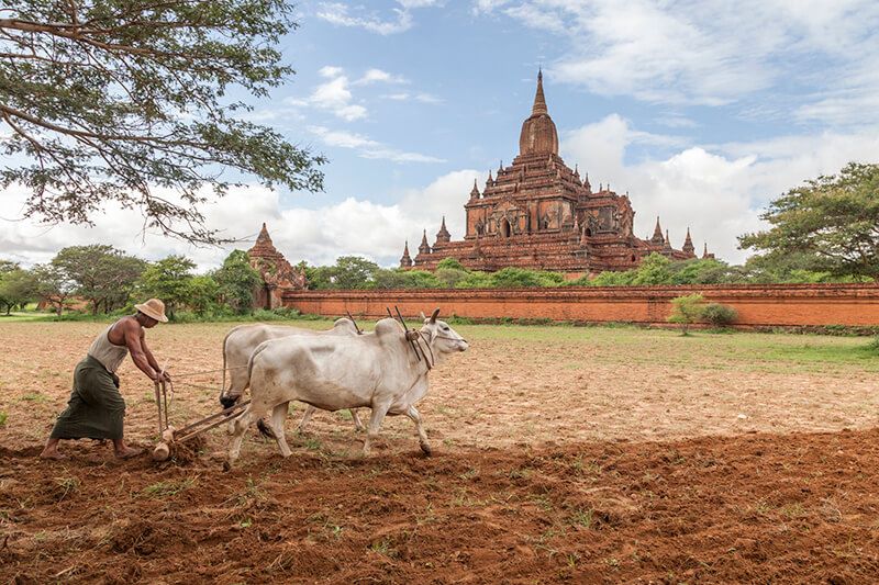 Luxury Cruise Experiences in Myanmar