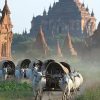 myanmar luxury river cruise - treasure of the golden land